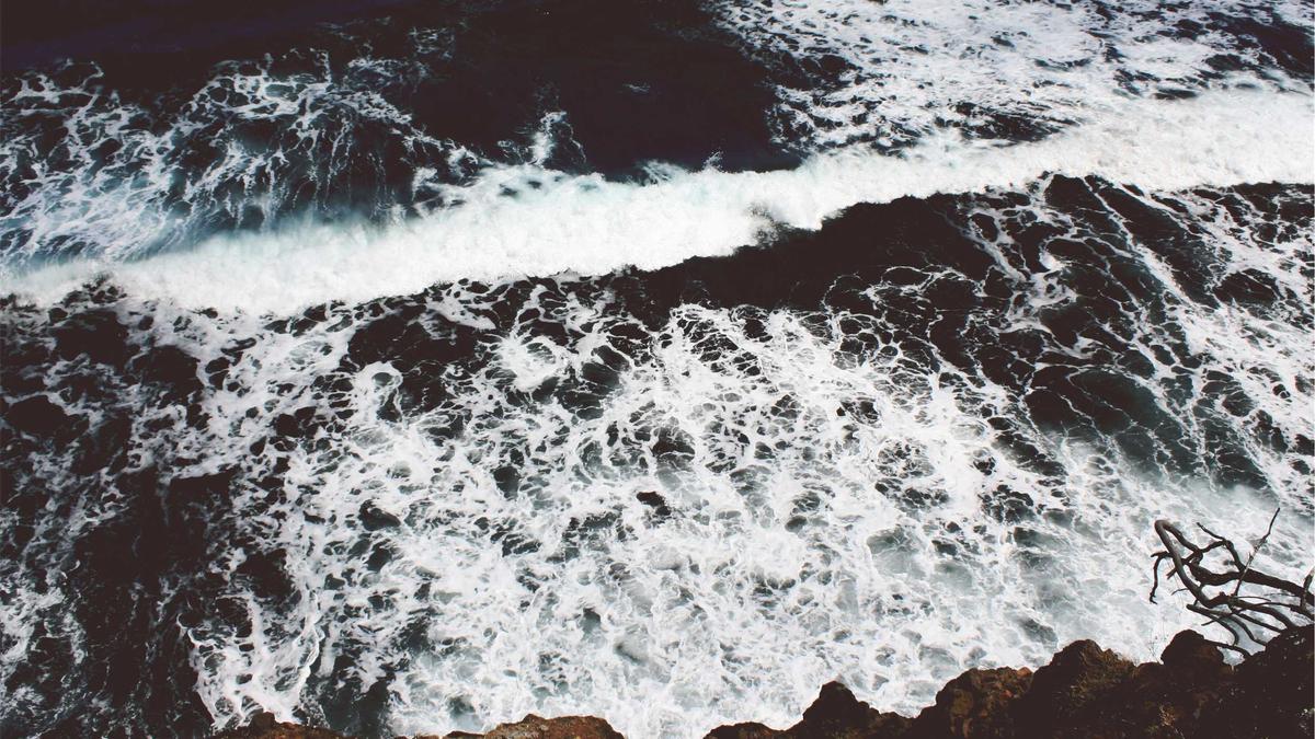 Conheça Catanduvas: A Capital Catarinense do Chimarrão