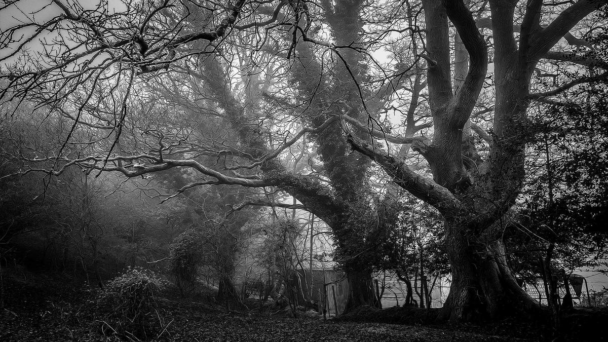 A Importância de um Guia Comercial Local