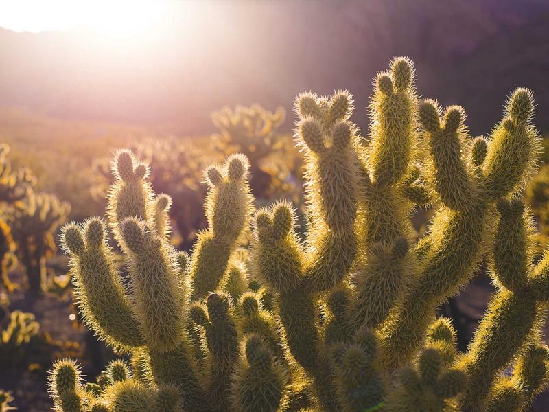 Fachada da Borracharia Rotta 277